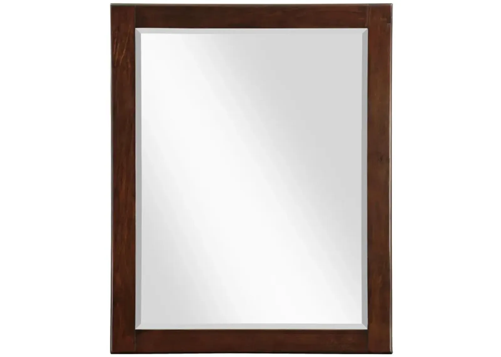 Maxine Brown Mirror in Brown by Meridian Furniture