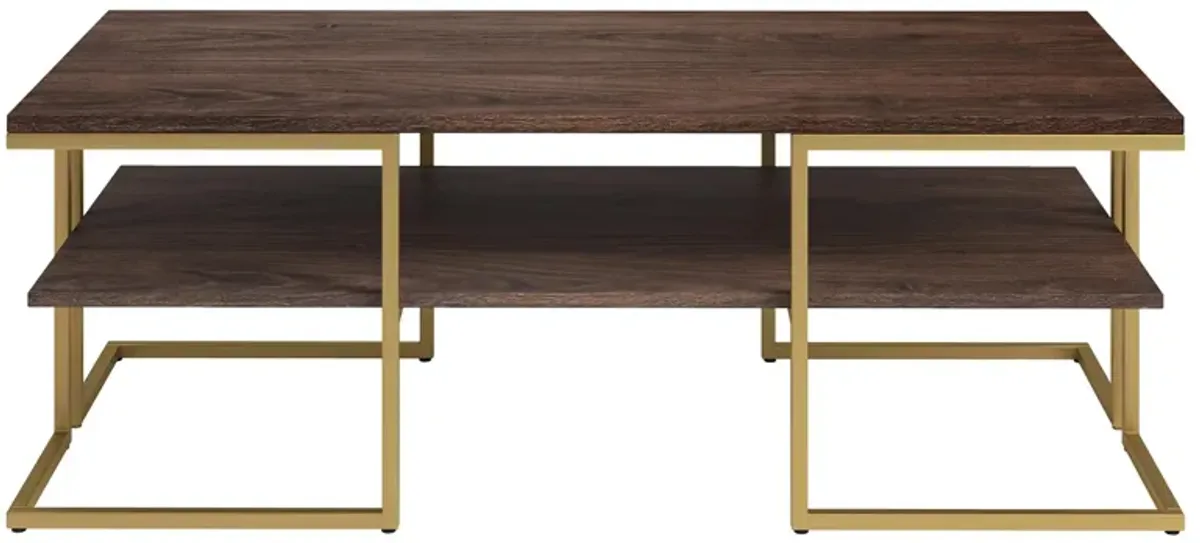 Pike Coffee Table in Brass by Hudson & Canal