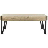Amos Coffee Table in Brown by Safavieh