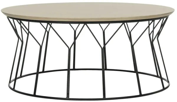 Bela Coffee Table