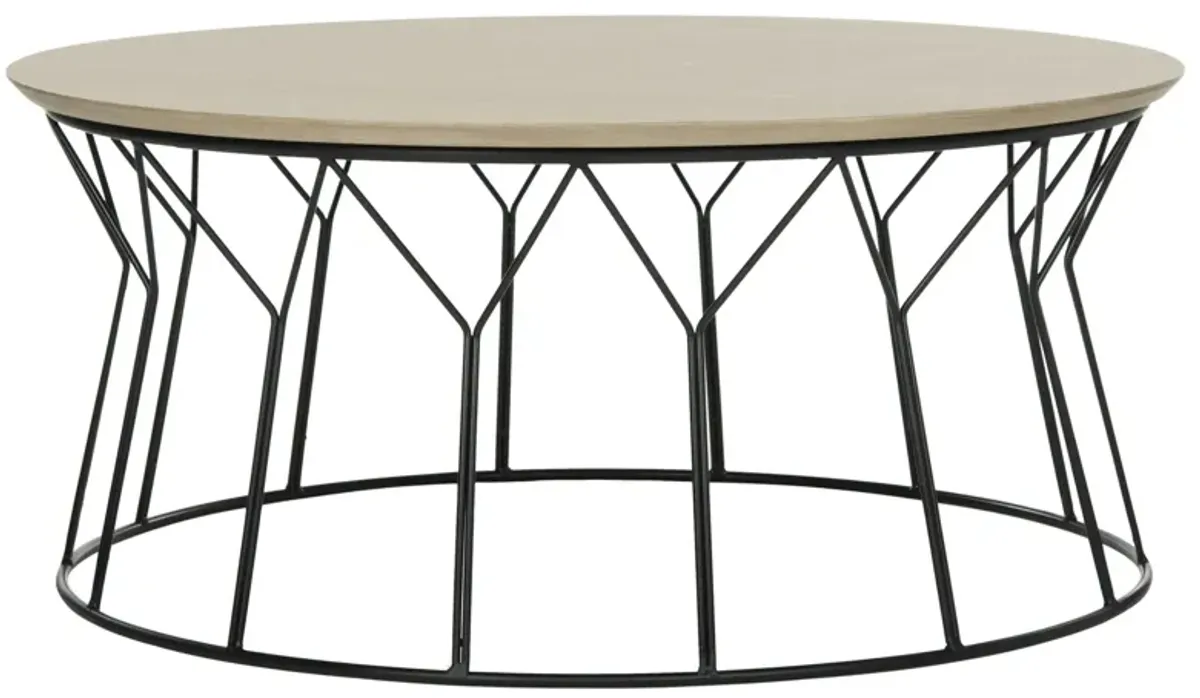 Bela Coffee Table in Light Gray by Safavieh