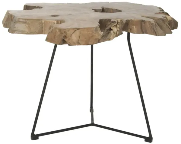 Caraway Coffee Table