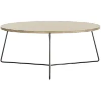 Dennis Coffee Table in Light Brown by Safavieh