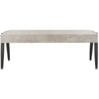 Levinson Rectangular Coffee Table in Light Gray by Safavieh