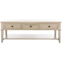 Lucille Coffee Table With Storage Drawers in White Washed by Safavieh