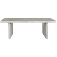 Noam Coffee Table in Gray Wash by Safavieh