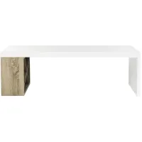 Rascal Coffee Table in White by Safavieh