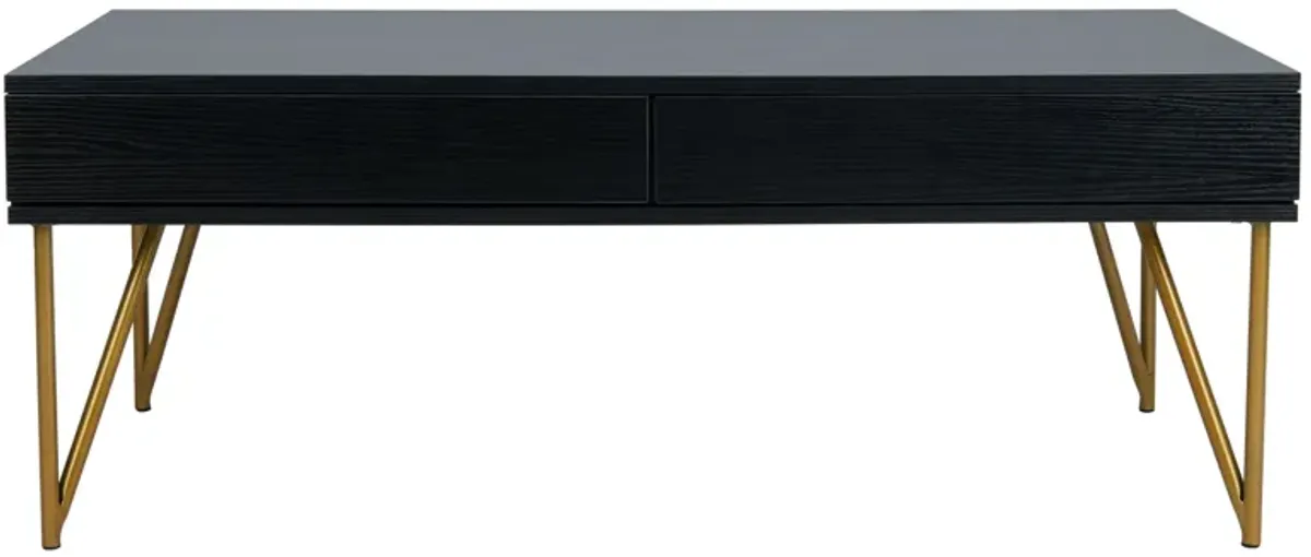 Rosalia Two Drawer Coffee Table in Black by Safavieh