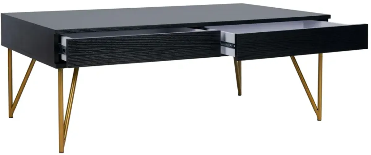 Rosalia Two Drawer Coffee Table