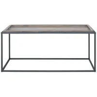 Tait Coffee Table in Brown by Safavieh