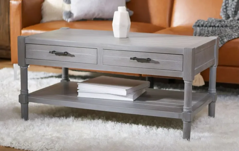 Vernice 2 Drawer Coffee Table in White Washed Gray by Safavieh