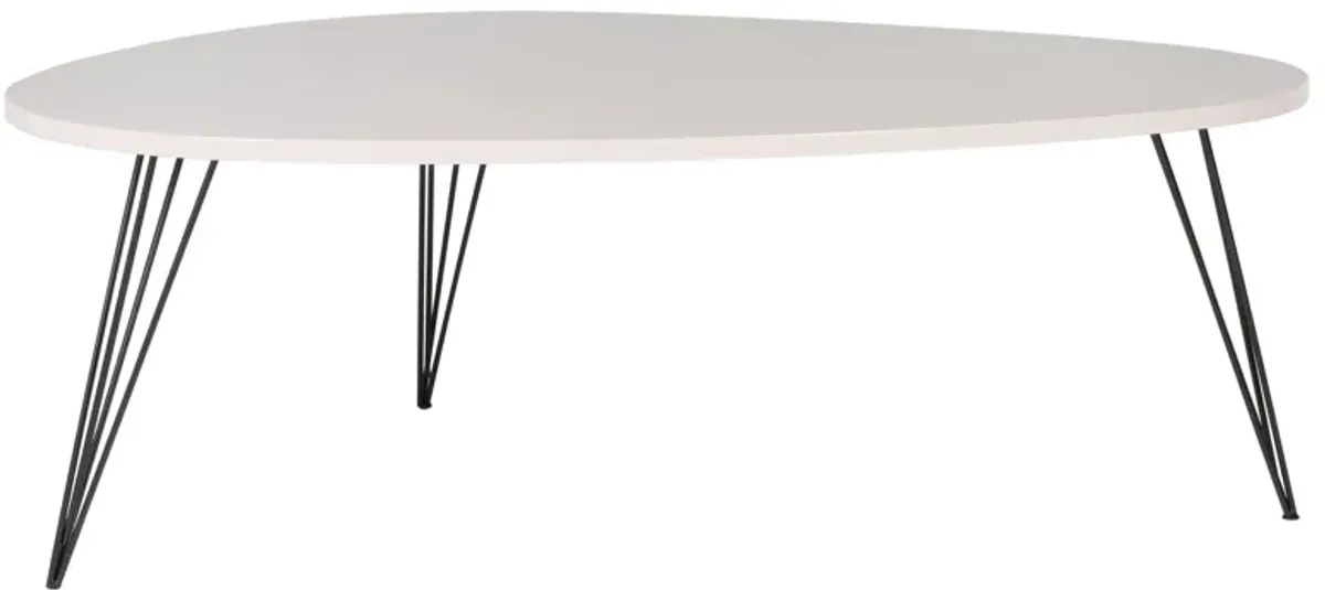 Werner Coffee Table