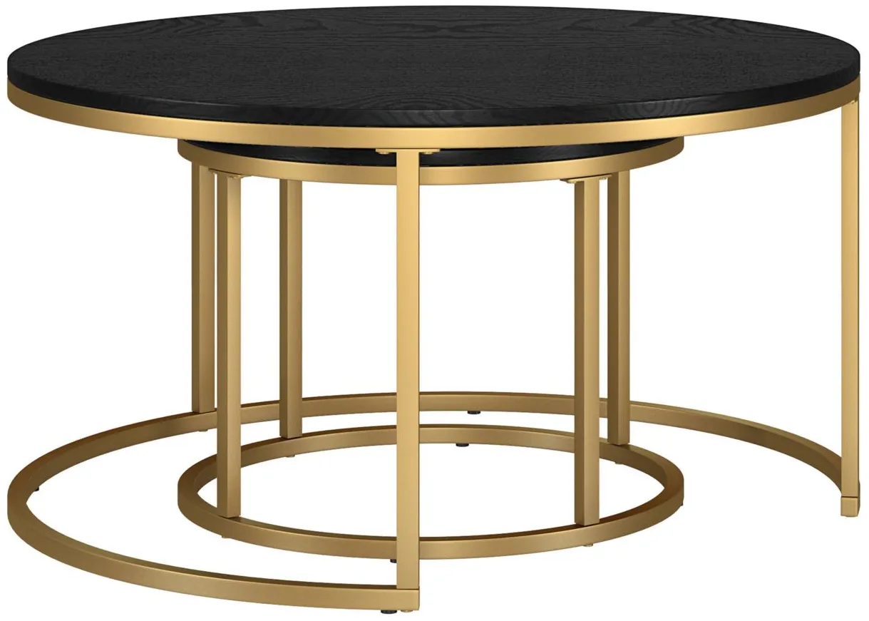 Kay Coffee Tables in Gold;Black Grain by Hudson & Canal