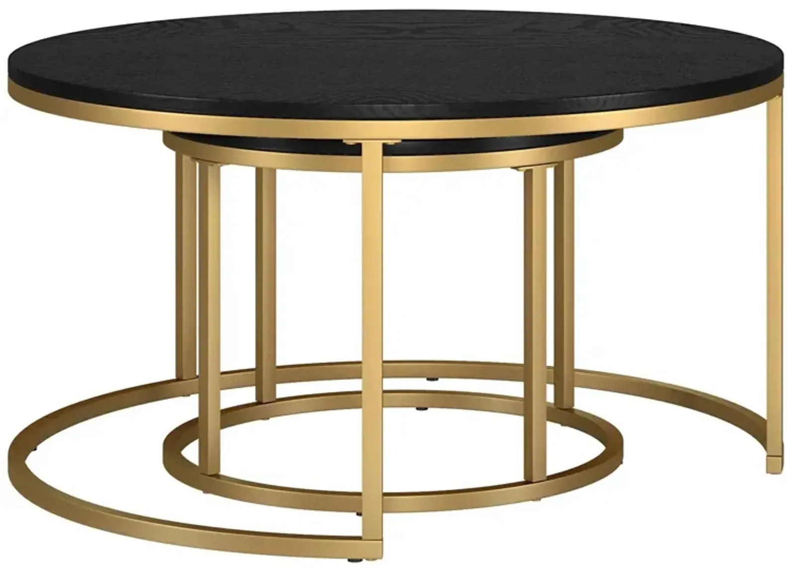 Kay Coffee Tables in Gold;Black Grain by Hudson & Canal