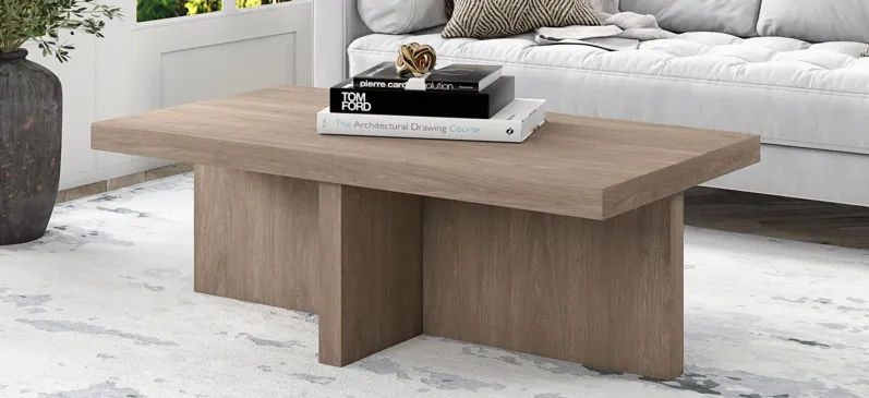 Elna Coffee Table in Antiqued Gray Oak by Hudson & Canal