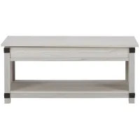 Wells Lift-Top Cocktail Table in Whitewash by Ashley Furniture