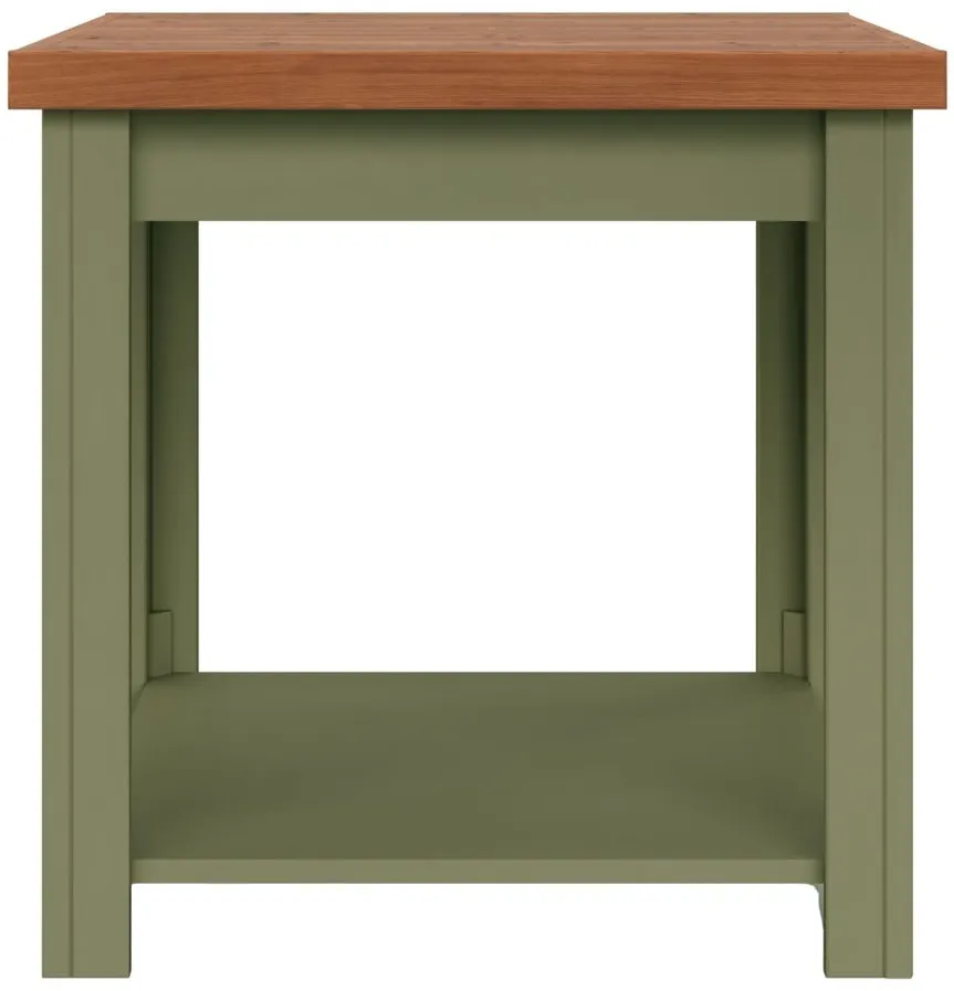 Vineyard End Table in Sage with Fruitwood by Legends Furniture