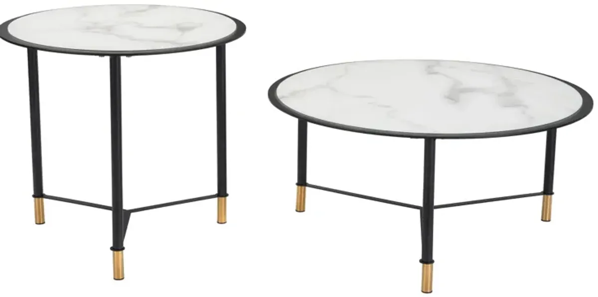 Davis Set of 2 Coffee Tables