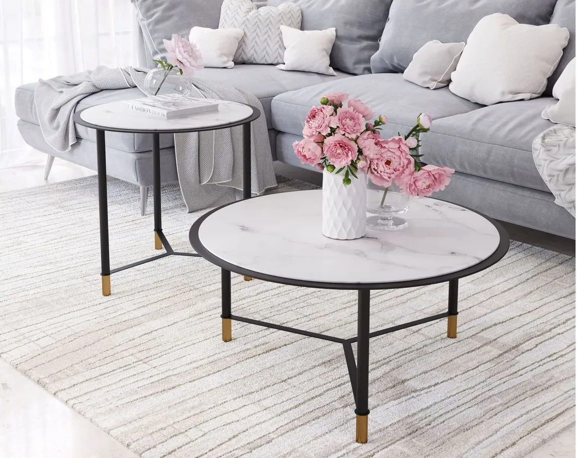 Davis Set of 2 Coffee Tables in Black by Zuo Modern