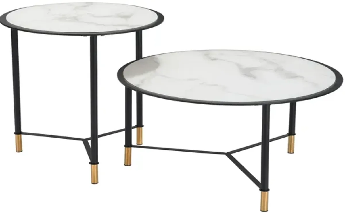 Davis Set of 2 Coffee Tables