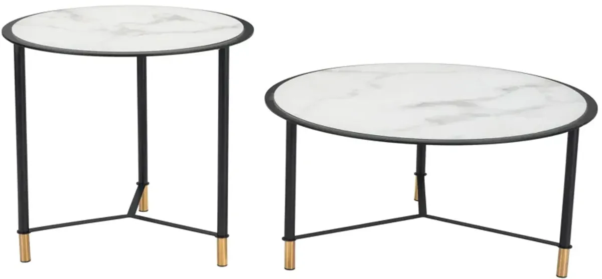 Davis Set of 2 Coffee Tables