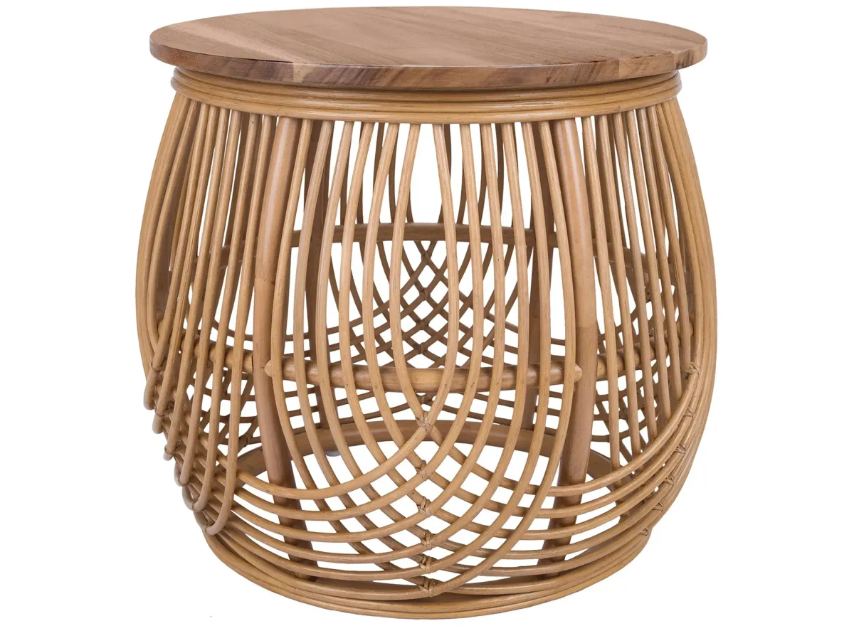 Arlo End Table in Honey by New Pacific Direct