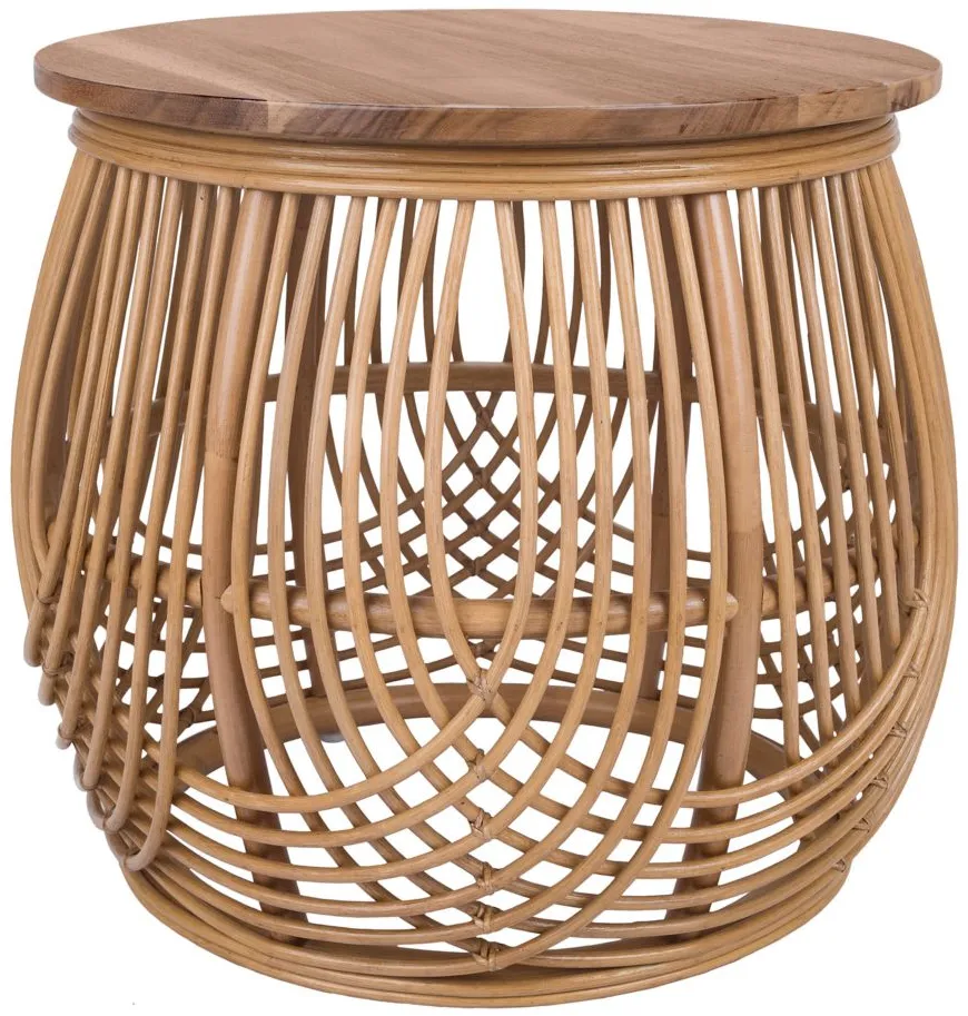 Arlo End Table in Honey by New Pacific Direct