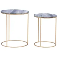 Fonner Nesting Tables in Gray by Linon Home Decor