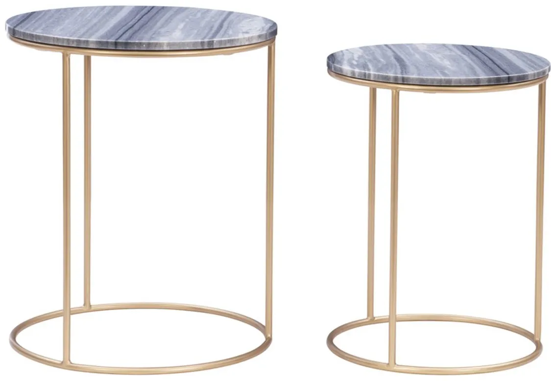 Fonner Nesting Tables in Gray by Linon Home Decor