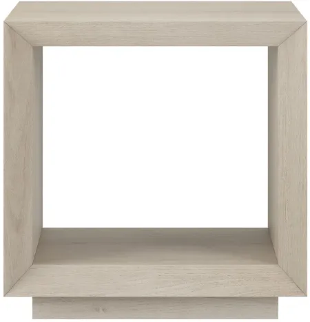 Tannen Side Table in Alder White by Hudson & Canal