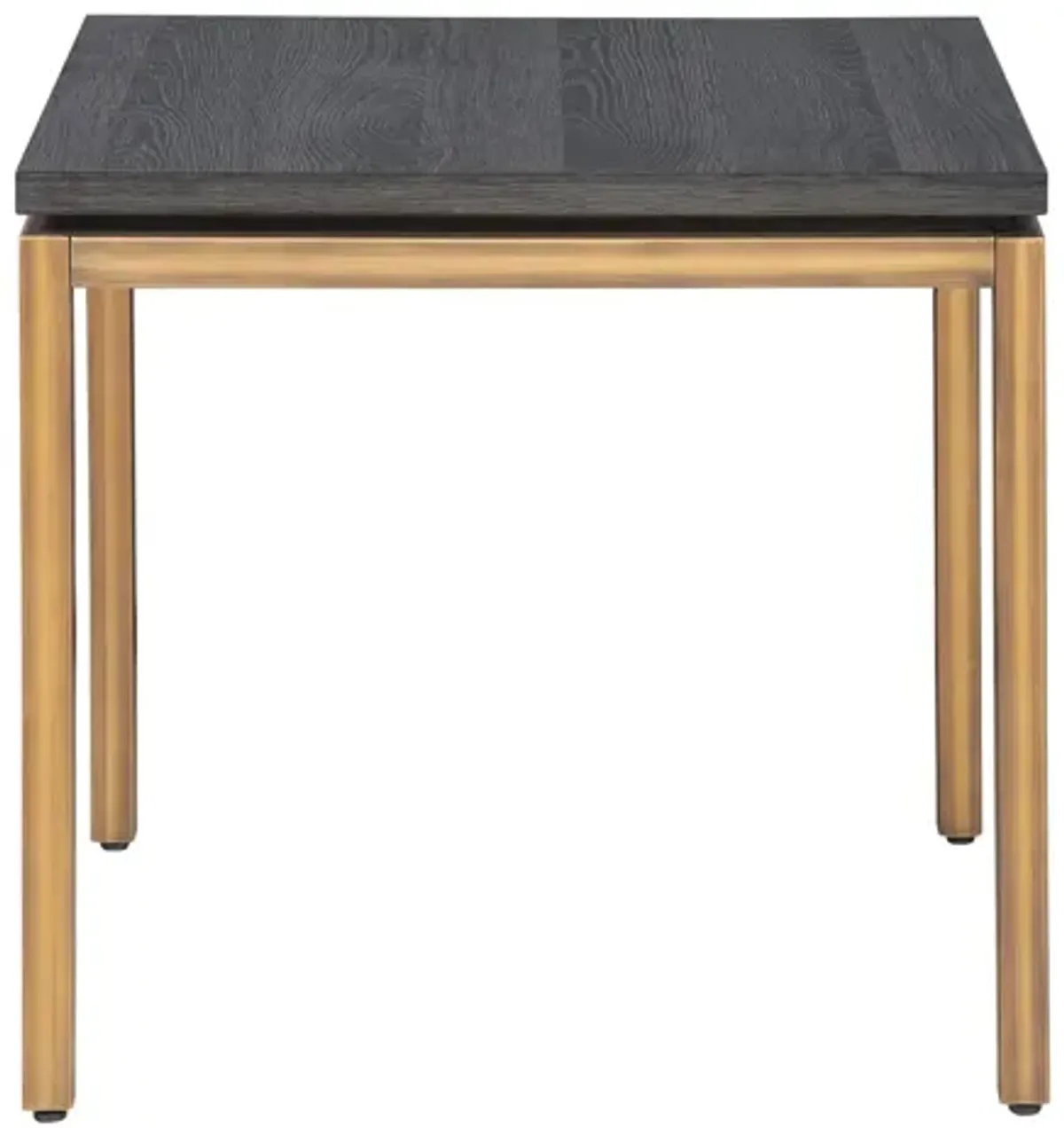 Lucius End Table in Gray/Bronze by Unique Furniture