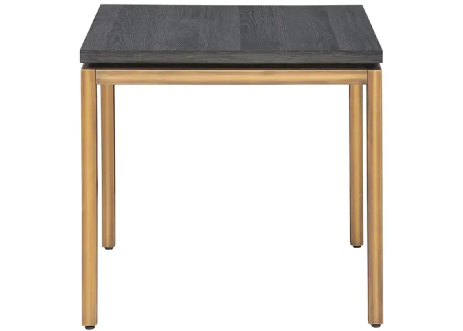 Lucius End Table in Gray/Bronze by Unique Furniture