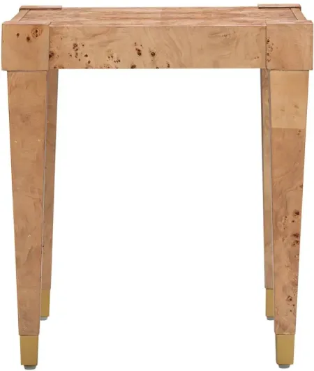 Brandyss Burl End Table in Natural by Tov Furniture