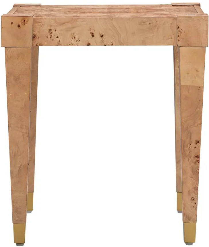 Brandyss Burl End Table in Natural by Tov Furniture