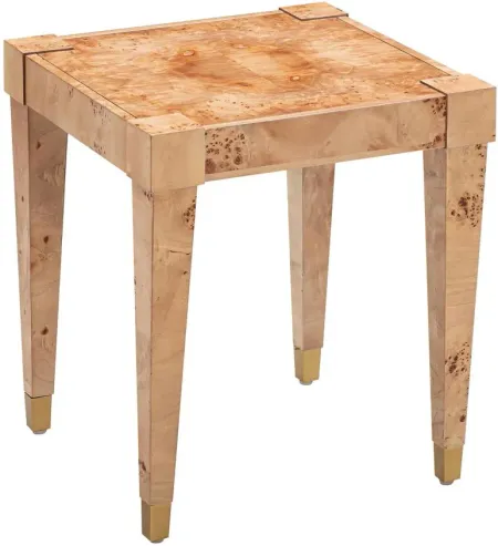 Brandyss Burl End Table in Natural by Tov Furniture