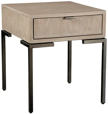 Scottsdale Storage End Table in SCOTTSDALE by Hekman Furniture Company