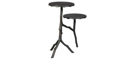 Special Reserve Twintwig Accent Table in SPECIAL RESERVE by Hekman Furniture Company