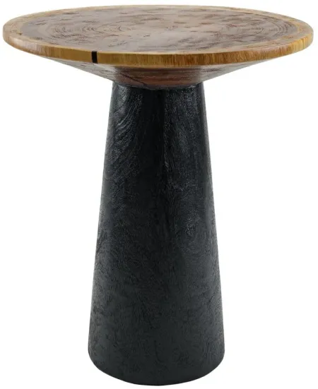 Edgar Trembesi Side End Table in Natural/ Black by New Pacific Direct