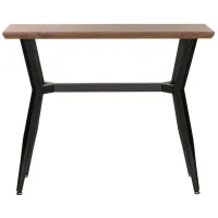 Sema Rectangular Console Table in Brown by Safavieh