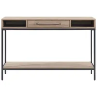 Santana Console Table in Blackened Bronze/Antiqued Gray Oak by Hudson & Canal