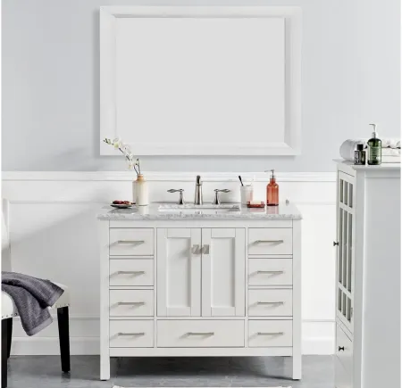 Sydney 48" Bathroom Vanit in White by Eviva