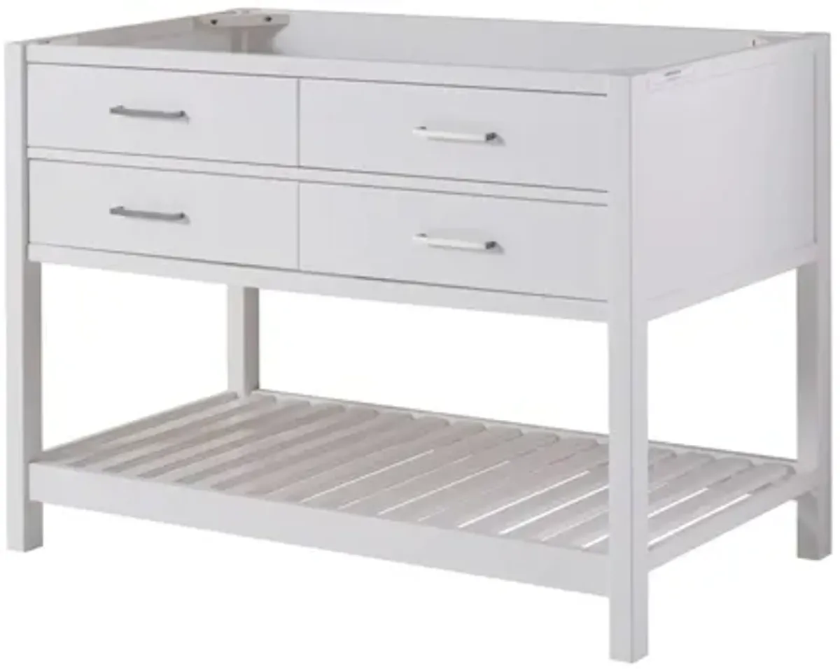 Harrison 48" Vanity Cabinet