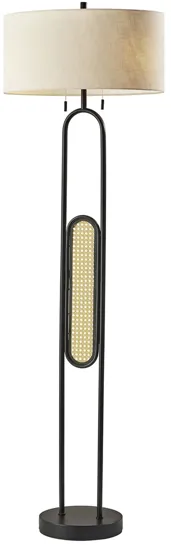 Levy Floor Lamp in black by Adesso Inc