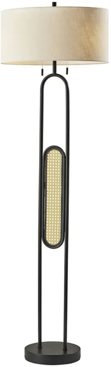 Levy Floor Lamp in black by Adesso Inc