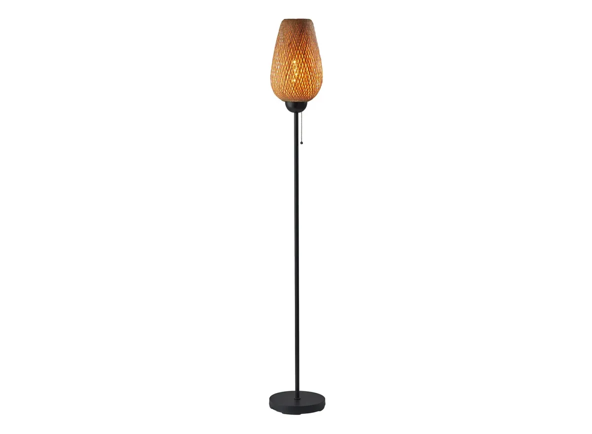 Hugo Floor Lamp in Black by Adesso Inc