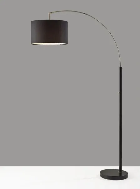 Preston Arc Lamp in Black by Adesso Inc