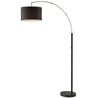Preston Arc Lamp in Black by Adesso Inc