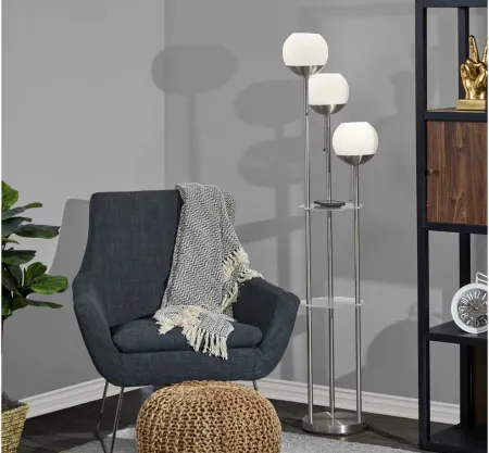 Bianca Floor Lamp w/ Shelves in Brushed Steel by Adesso Inc