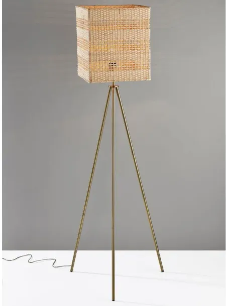 Pesina Floor Lamp in Antique Brass by Adesso Inc