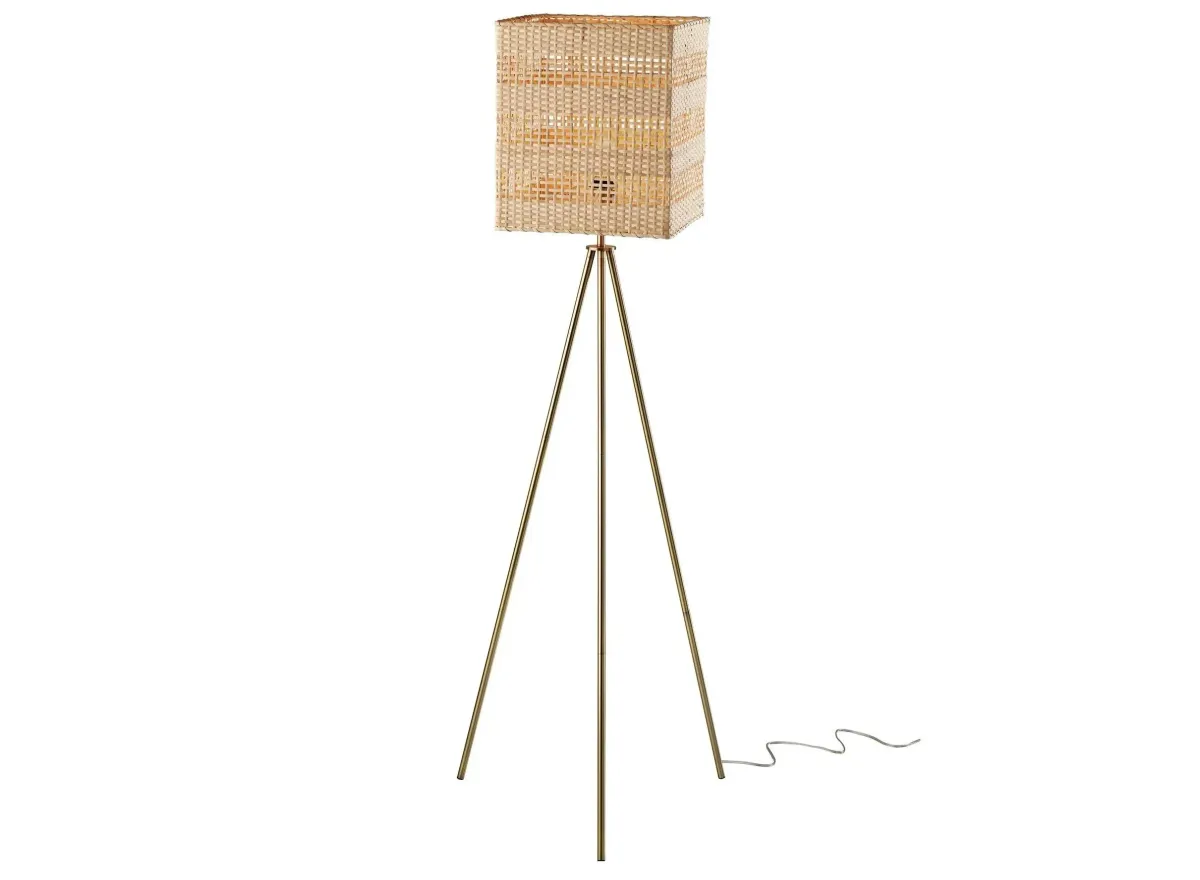 Pesina Floor Lamp in Antique Brass by Adesso Inc